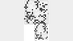 [바둑]제31회 세계아마바둑선수권… 결정타 작렬