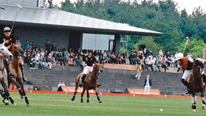[제주]말타고 골넣는 ‘폴로’ 제주서 국내 첫 경기