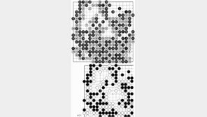 [바둑]제31회 세계아마바둑선수권… 우승 8부 능선 올라