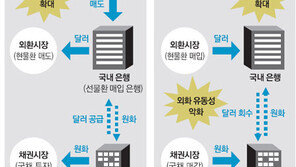 [아하! 경제뉴스]선물환거래 규제, 왜?