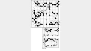 [바둑]제31회 세계아마바둑선수권…실력 차이