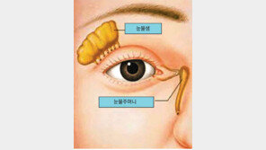 [헬스&뷰티]이성진 교수의 아이러브 eye 