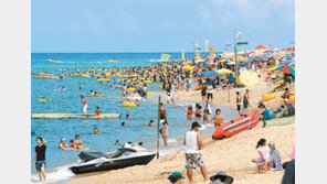 [강원]와~ 여름이다!… 동해안 해변으로 오세요