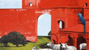 [인문사회]‘누군가의 글쓰기’ 엿보다