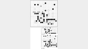 [바둑]제54회 국수전…백병전과 함포사격