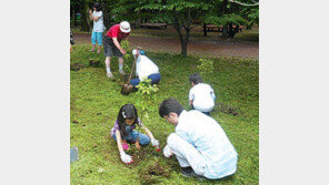 [제주]“생일… 창립식… 특별한 날엔 나무를 심으세요”