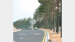 [강원]신사임당-허난설헌 이름딴 도로 7월 1일 개통