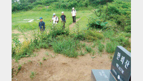[강원]차령산맥을 따라서<11> 만뢰산 