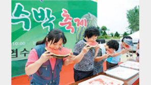 [충북][주말,떠나요!]꿀수박 한 입 물면… 더위가 사르르