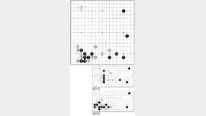[바둑]제54회 국수전…신형의 탄생