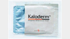 [헬스&뷰티/플라자] ‘칼로덤, 당뇨성 족부궤양에도 효과’ 外