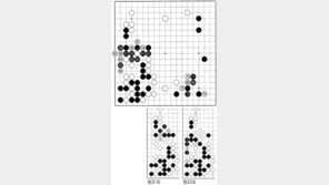 [바둑]제54회 국수전…실패로 돌아간 실험