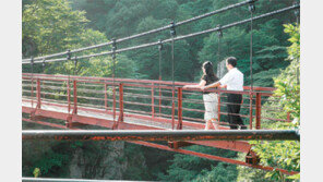 [강원]차령산맥을 따라서<12>대둔산