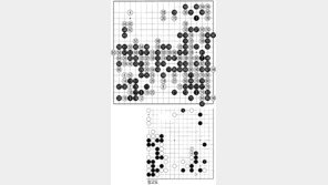 [바둑]제54회 국수전…강약 조절