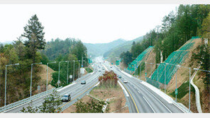 [강원]관광객 100만명 ↑ 닭갈비-막국수 매출 50% ↑