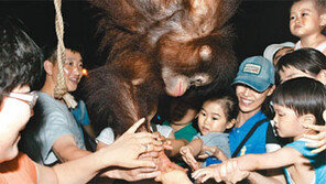 [수도권]‘낮’보다 아름다운 ‘서울의 밤’