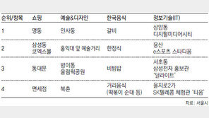 [수도권] 코엑스몰-홍대앞, 외국인에 인기 급등