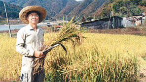 [인문사회]땀 흘리고 팔다리 알 배어도…밭 갈고 씨 뿌리며 나를 잊네