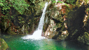 [수도권]수도권 휴가지, 해운대-경포대 안부럽다