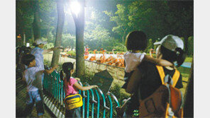 [수도권]서울도심서 테마캠핑 ‘1박2일’