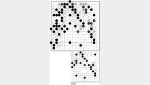 [바둑]제54회 국수전…삼곤마가 뜨다