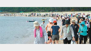 [강원]관동별곡 800리길 걸어볼까