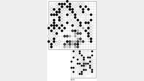 [바둑]제54회 국수전…또 다른 곤마
