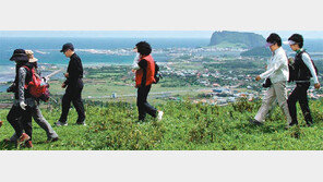 [제주]제주올레 92km 걸어볼까