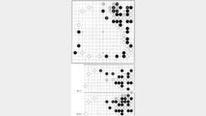 [바둑]제54회 국수전…억울한 최선