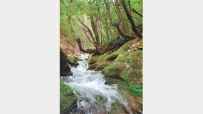 [강원]한강 발원지 태백 검룡소 국가문화재 ‘명승’지정