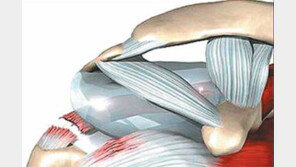[헬스&뷰티]“어깨통증, 무조건 오십견인 건 아니에요”