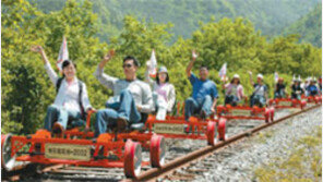 [강원]정선 레일바이크 암표 뿌리뽑는다