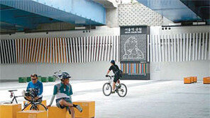 [수도권]서울시 디자인정책 “디자인 산업화” “정치적 선전용”