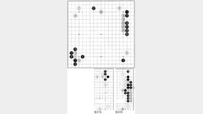 [바둑]제54회 국수전…격렬한 후폭풍