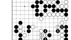 [바둑]제54회 국수전…시나리오대로