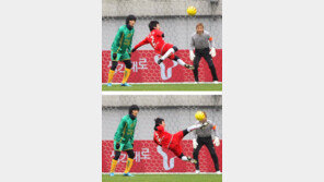 [O2칼럼/권순일의 스타&스포츠]슛돌이 이수근 “내가 태권도장 차리려는 이유는…”
