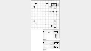 [바둑]제54회 국수전…짠물 작전