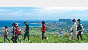 [제주]터벅터벅… 제주의 속살 보듬으러 오세요