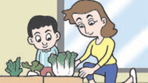 [수도권]“배추, 씨보다 모종 구입해 길러야”