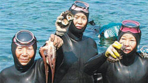 [제주]제주서 내년 세계 해녀축제 연다…물질 경연-포럼등 7월개최