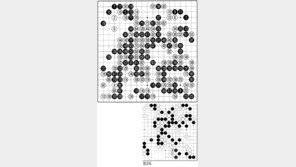 [바둑]제54회 국수전…이변은 없다