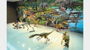 [강원]태백시 고생대자연사박물관 27일 국내 첫 개관