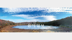 [제주]‘사라오름’이 열린다