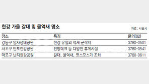 [수도권]한강변 억새 명소는 암사-반포-난지공원