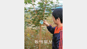 [제주]“고로쇠나무 심으며 녹색성장 체험”