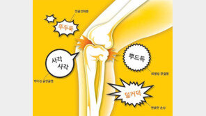 [헬스&뷰티]증상으로 본 무릎관절<1>소리가 자주 나요