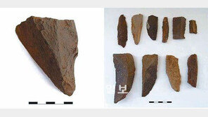 [제주]제주서 구석기시대 유물 100여점 첫 발굴