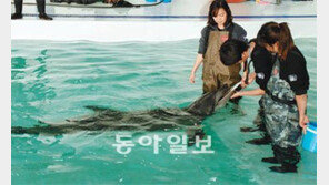 [제주]“돌고래와 뽀뽀해보세요”