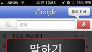 [스마트폰 완전정복]<3>PC보다 똑똑하게 검색하기