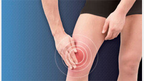 [헬스&뷰티]증상으로 본 무릎관절<2>무릎이 자꾸만 부어요